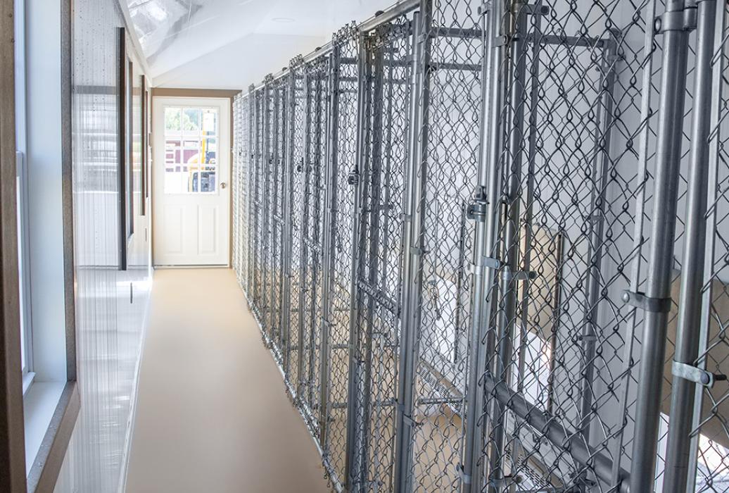 12' x 32' Kennel Lancaster Barns